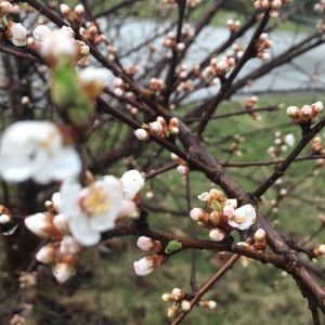 Meet your Posher, Karolina